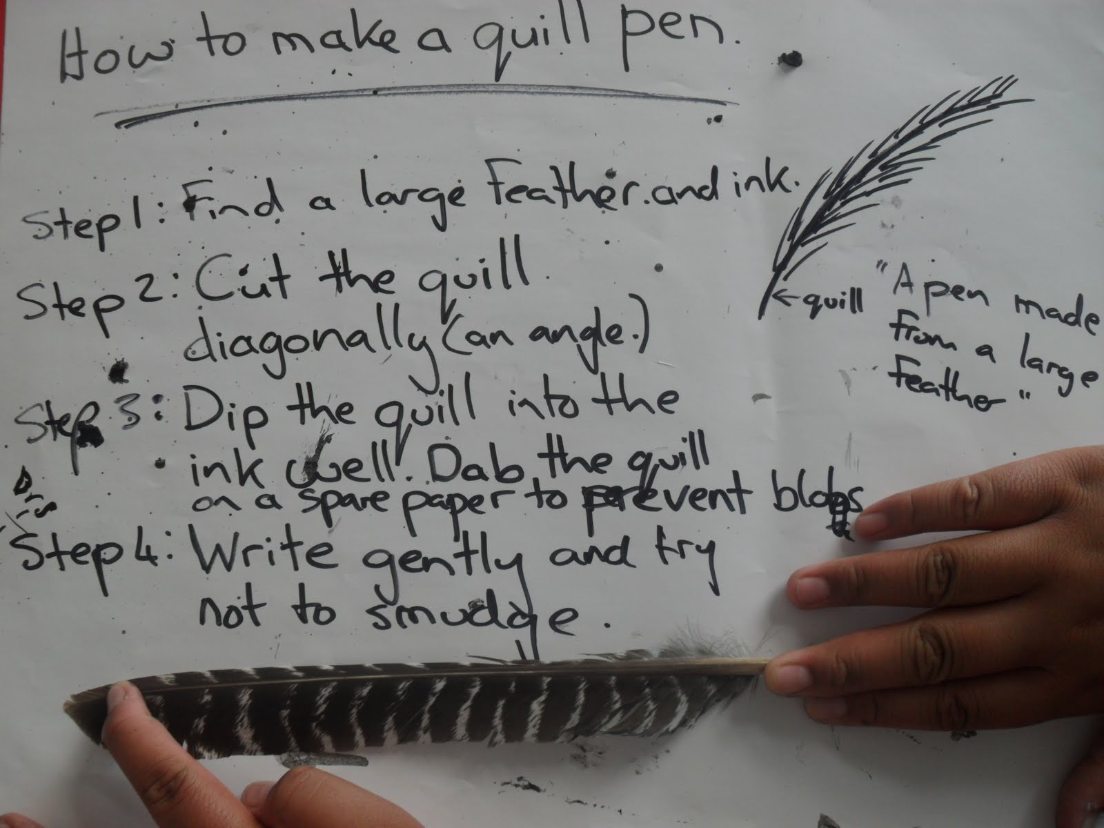 Bailey Road Team 17 How To Make A Quill Pen