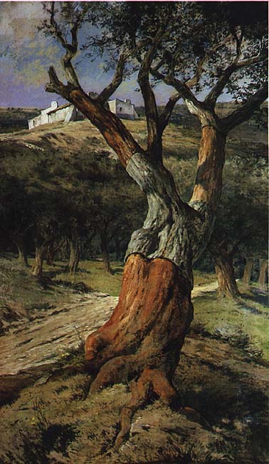 [O+Sobreiro+-+D.+Carlos.jpg]