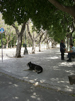 CIMG8120 - Härlig start på dagen med joggingtur