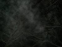 CIMG6678 - Minus 15 på min morgonpromenad