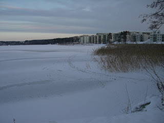 CIMG6689 - Ljus, vacker och kall morgonpromenad