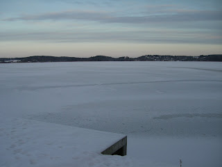 CIMG6690 - Ljus, vacker och kall morgonpromenad