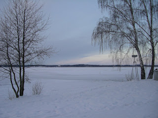 CIMG6686 - Ljus, vacker och kall morgonpromenad