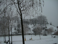 CIMG7251 - Fortfarande förkyld men pigg nog för jobb och promenad