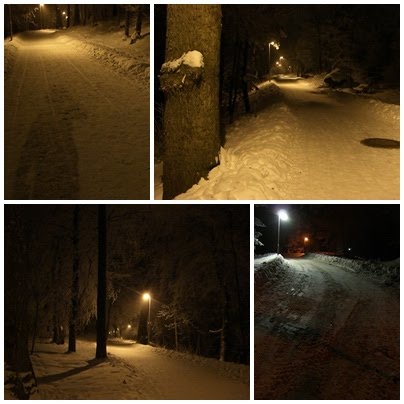 [vinterpromenad.jpg]