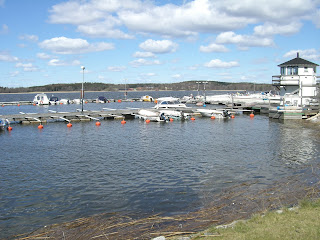 Soligt+idag+vid+b%C3%A5thamnen - Jag laddar för att få D-vitaminer idag