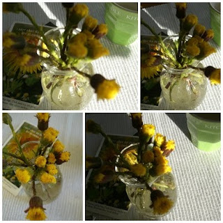 Tussilago - Detta gör mig lycklig just nu