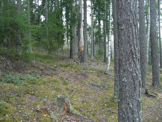 CIMG7974 - Löpartur inledde min dag idag