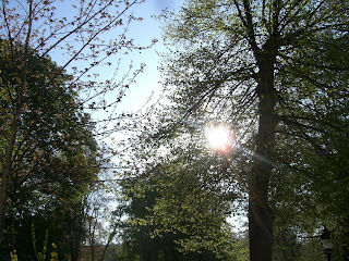 CIMG8257 - Underbar vårmorgon i Stockholm