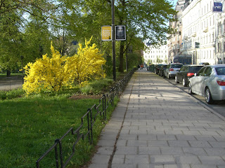 CIMG8260 - 5 kilometers löparrunda och styrketräning för axlar och bål