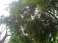 aten+055 - Härlig start på dagen med joggingtur