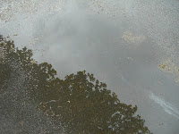 CIMG8372 - Blöt promenad och aerobicsträning