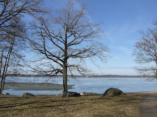 CIMG2801 - Inför Beach 2009 - planering är A och O