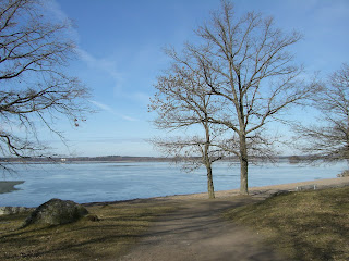 CIMG2802 - Inför Beach 2009 - planering är A och O