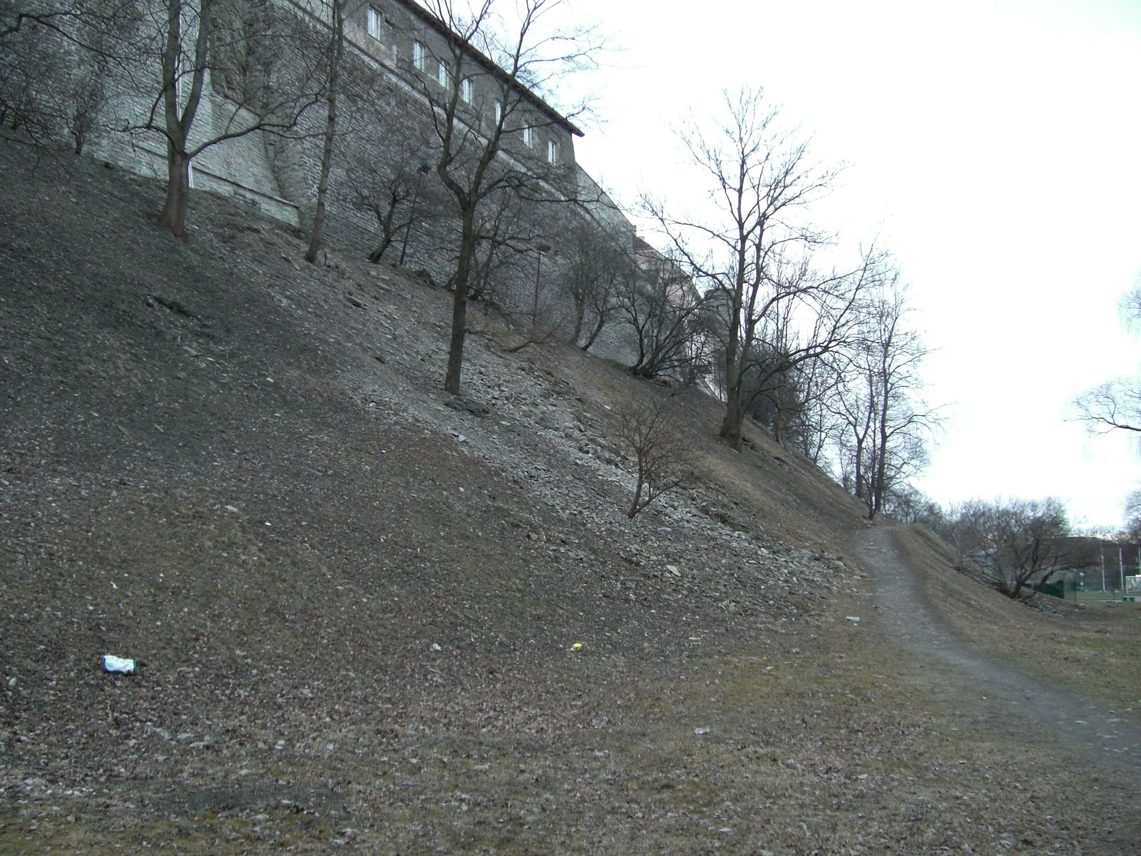 [mixture+picture+March2009+247.jpg]