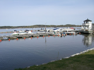 CIMG2913 - Vårtecken på vår morgonpromenad