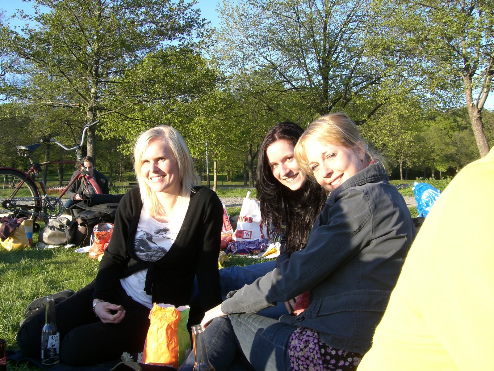 [mixture+picture+March2009+336.jpg]