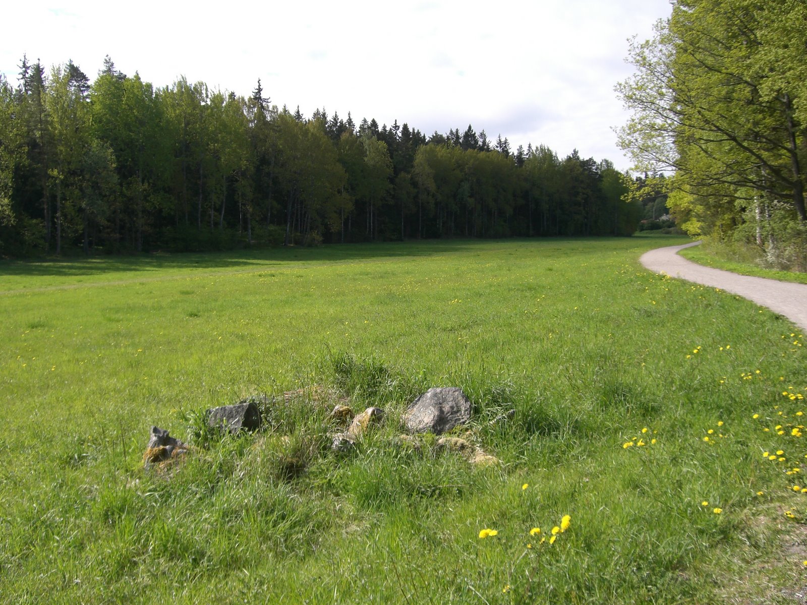 [mixture+picture+March2009+376.jpg]