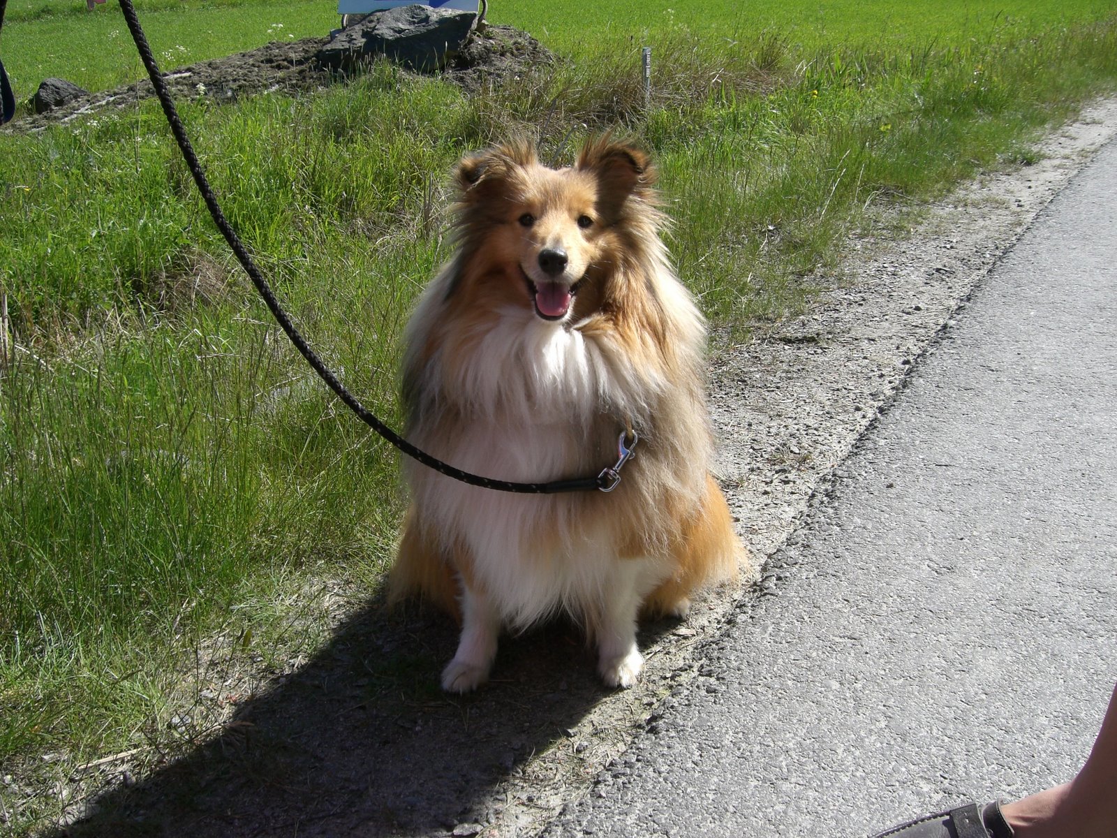 [lindas+land+042.jpg]