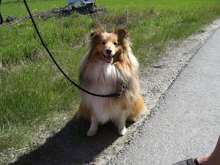 lindas+land+042 - Härlig tjejhelg på landet