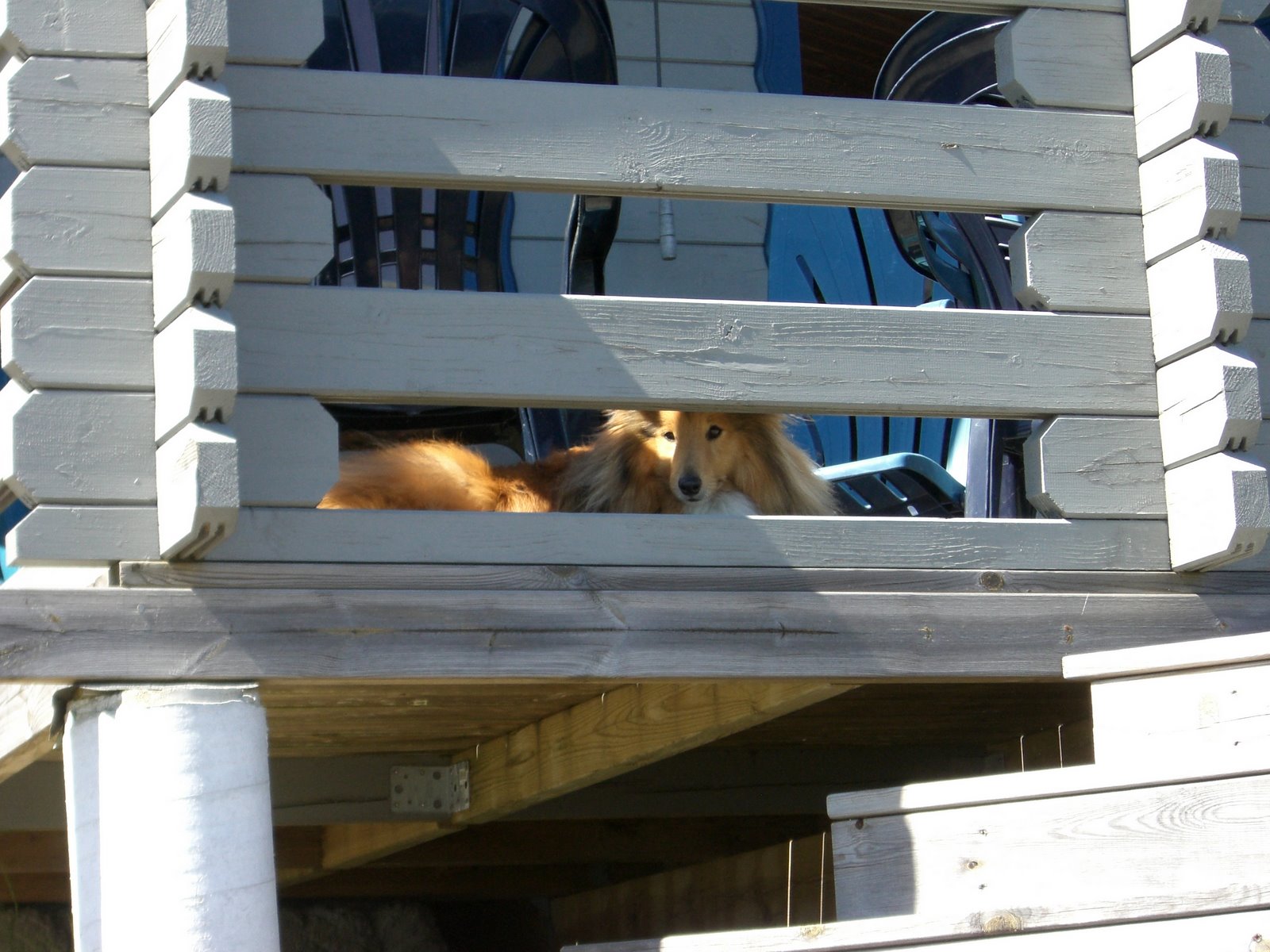 [lindas+land+021.jpg]