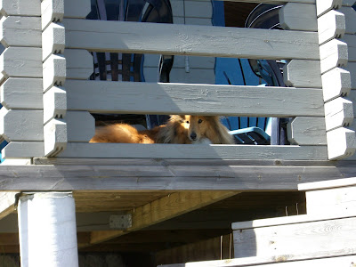 lindas+land+021 - Härlig tjejhelg på landet