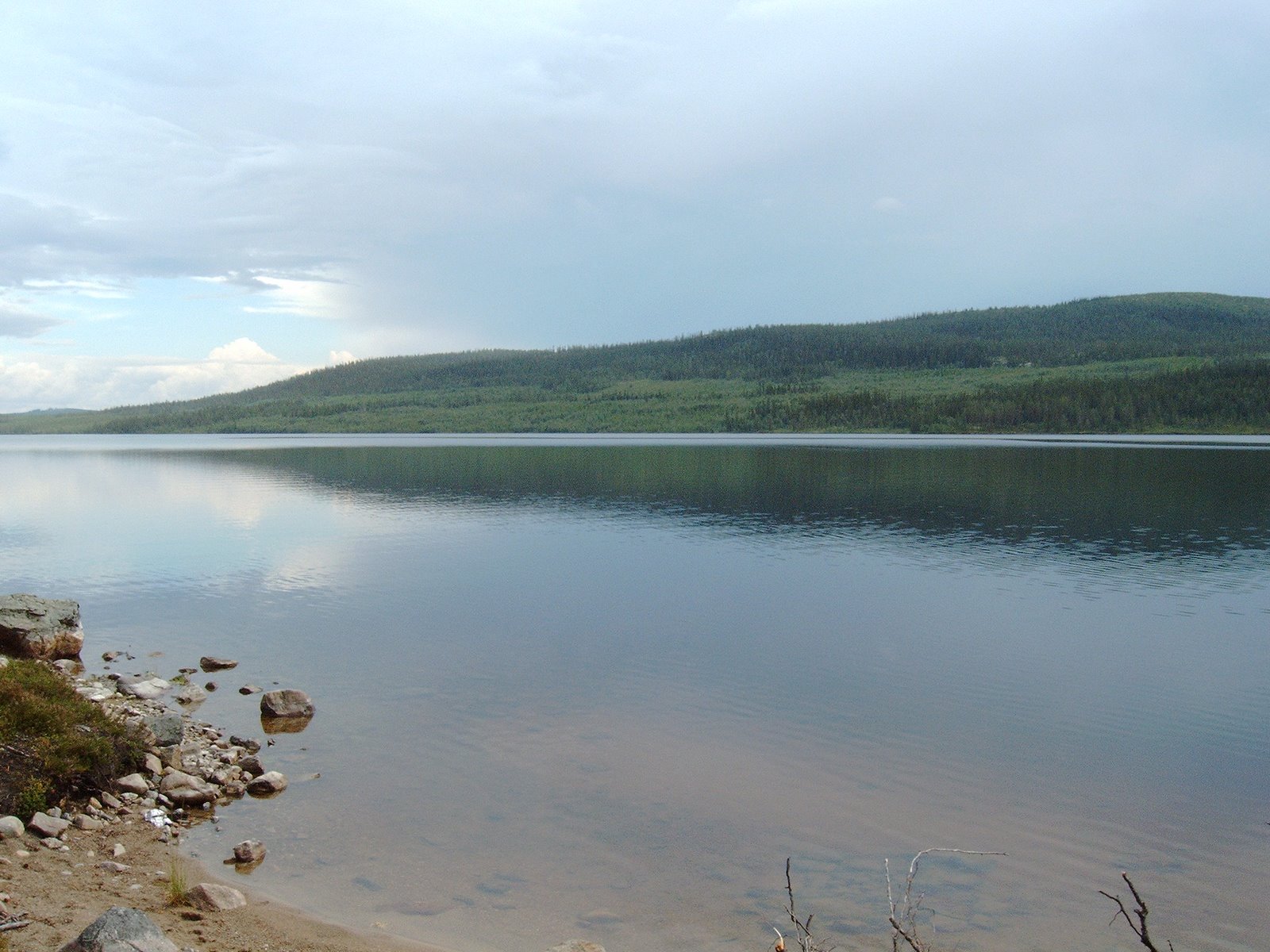 [mixture+picture+March2009+034.jpg]