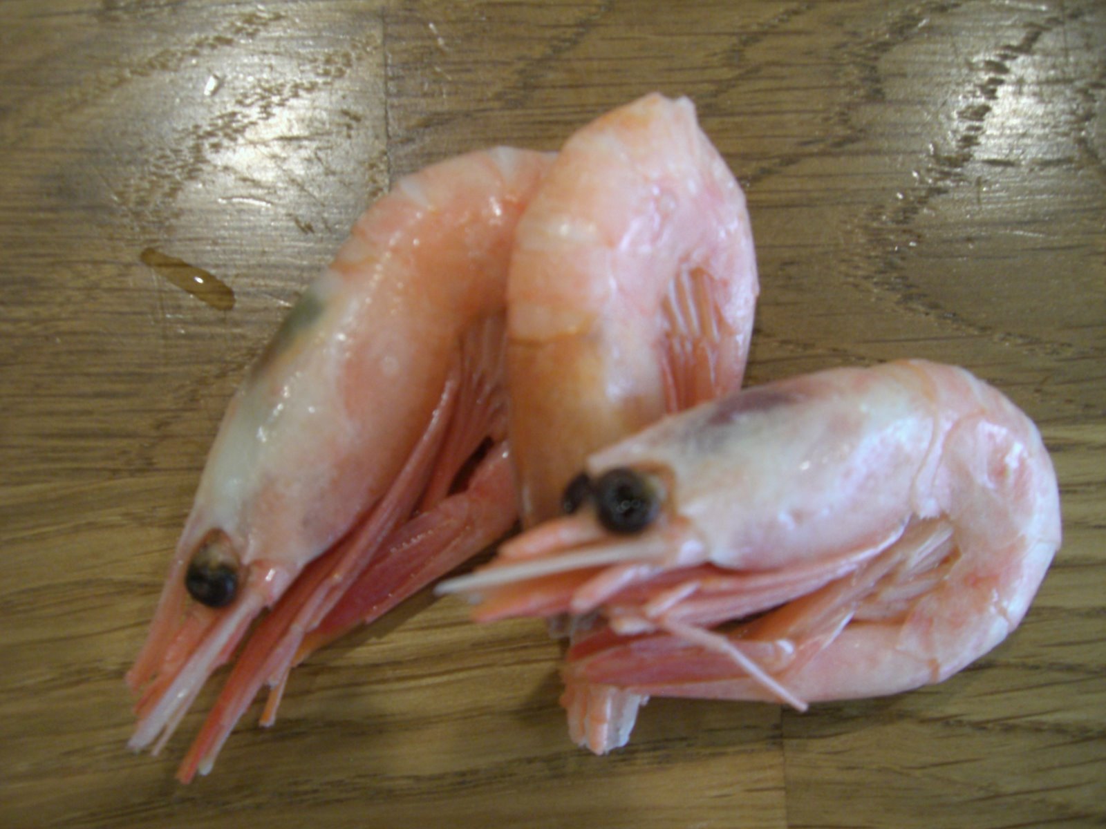 [räkor+bakning+och+cykelväska+024.jpg]