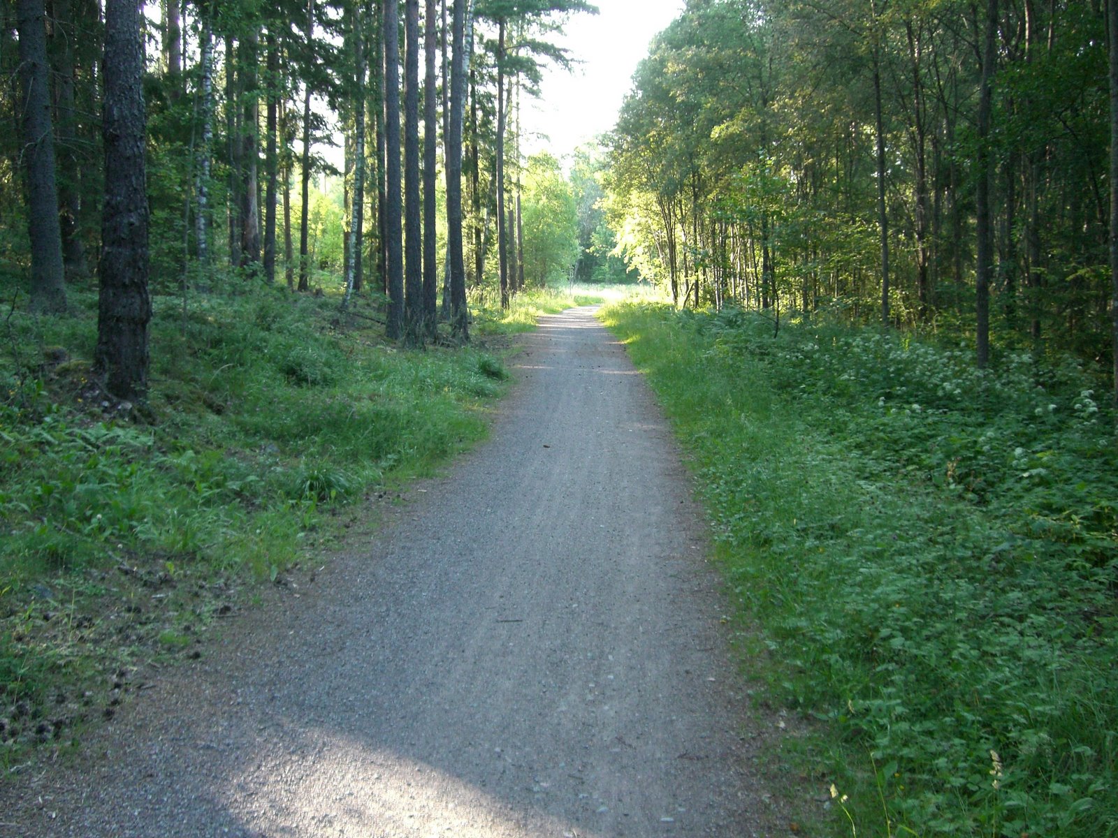 [cykelväg+hem+002.jpg]