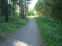 cykelv%C3%A4g+hem+002 - Solig cykelväg hem