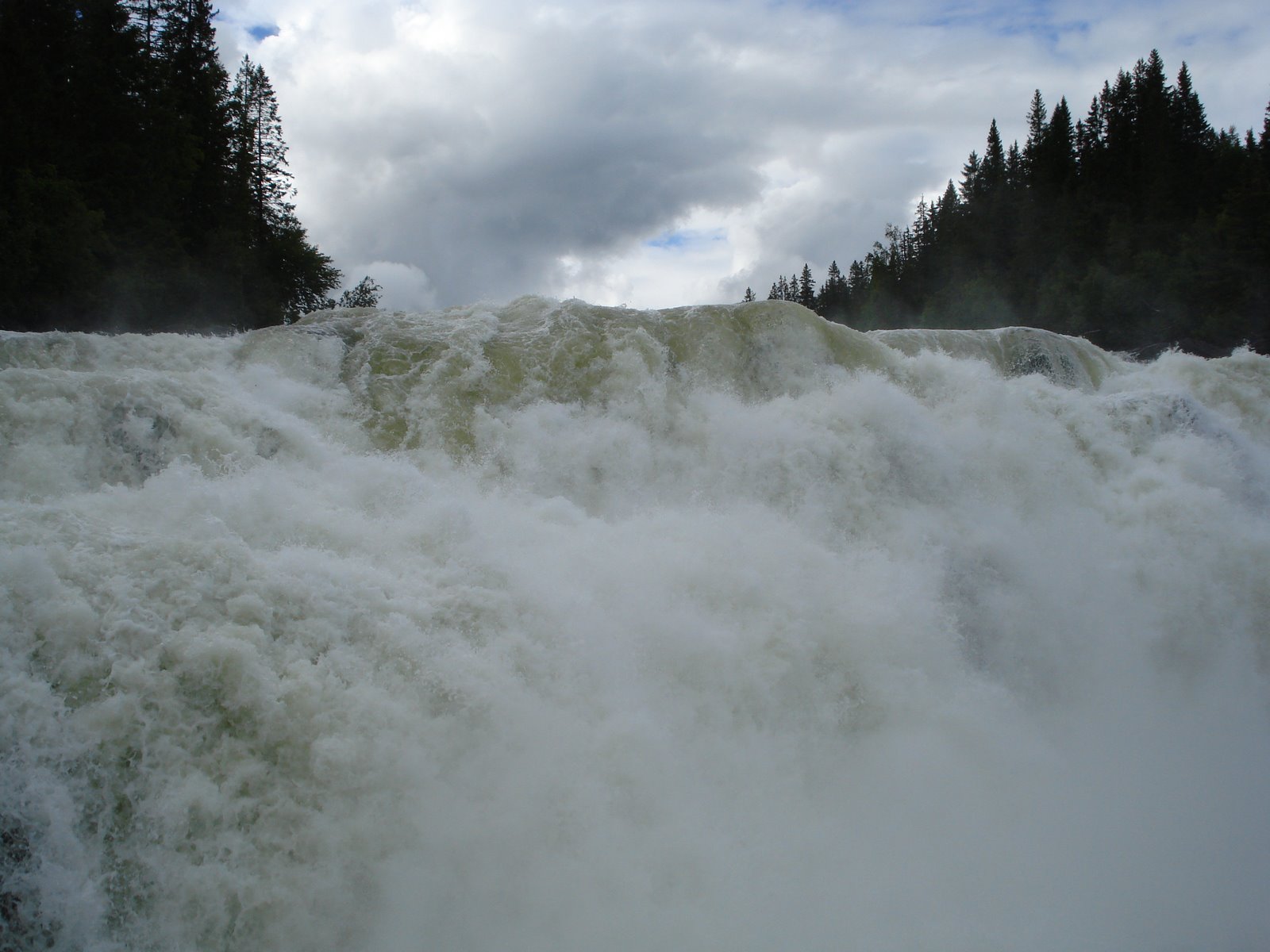 [mixture+picture+March2009+166.jpg]