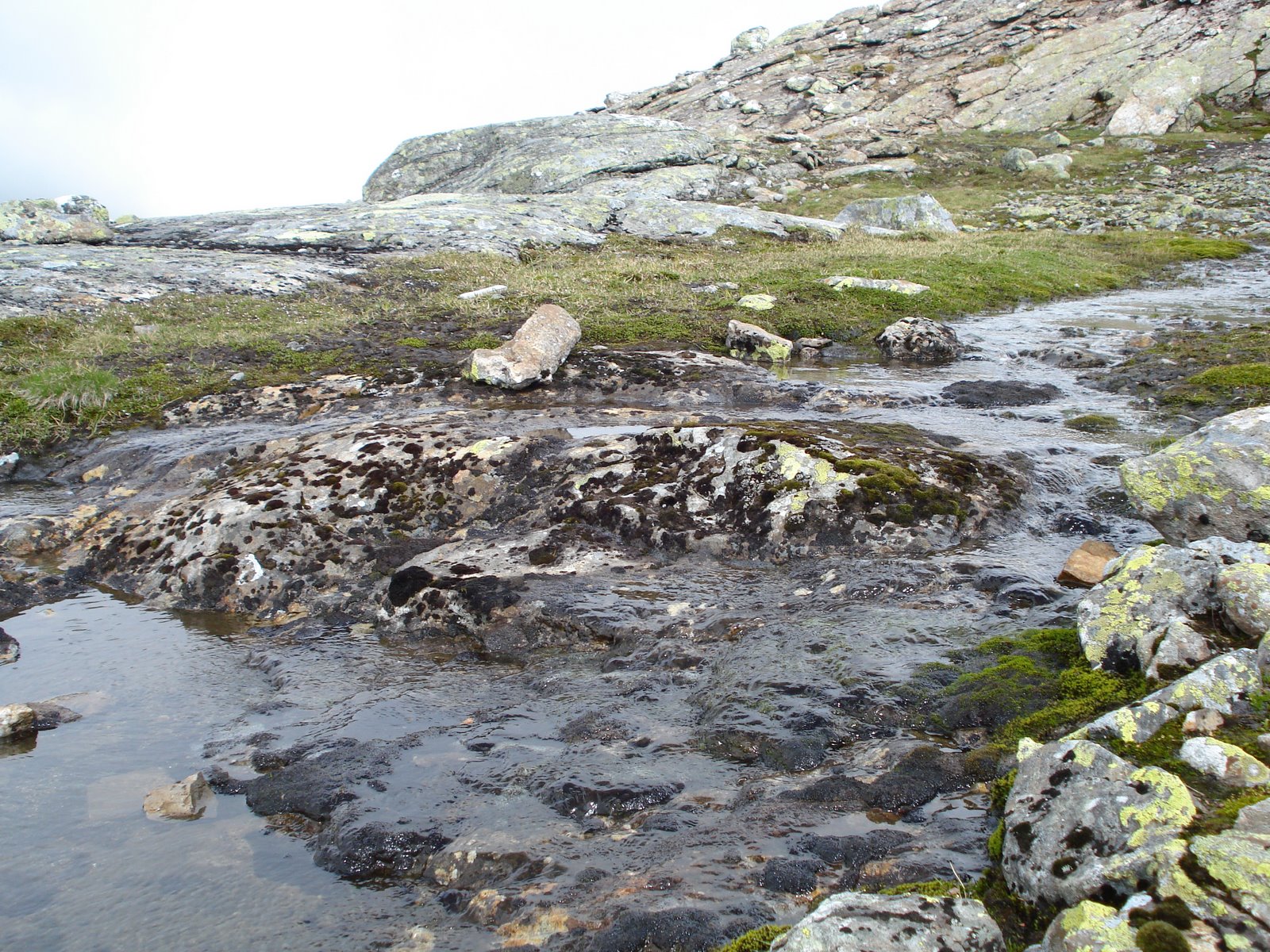 [mixture+picture+March2009+138.jpg]