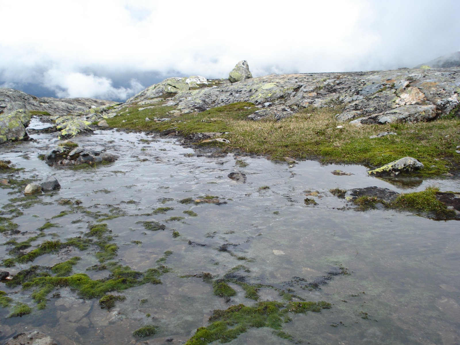 [mixture+picture+March2009+137.jpg]