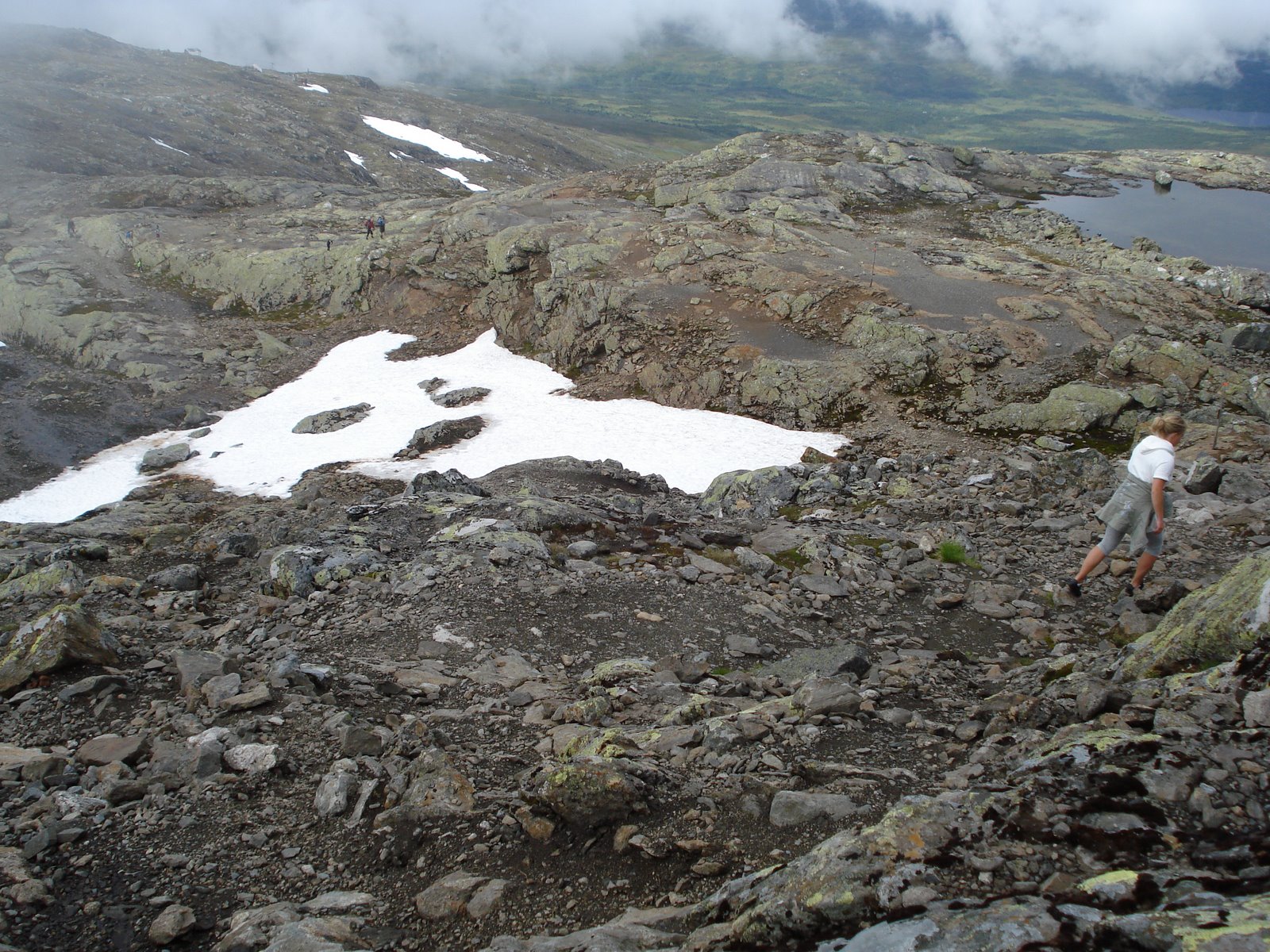 [mixture+picture+March2009+126.jpg]