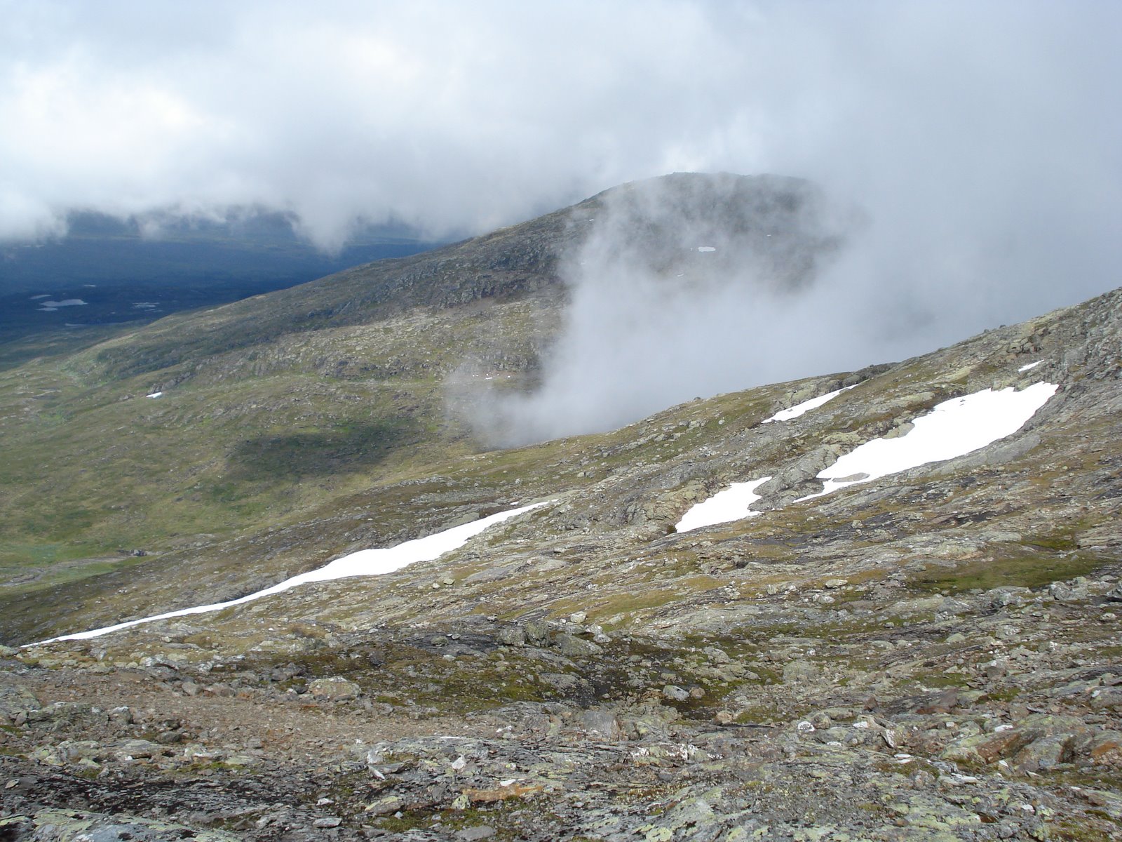 [mixture+picture+March2009+132.jpg]