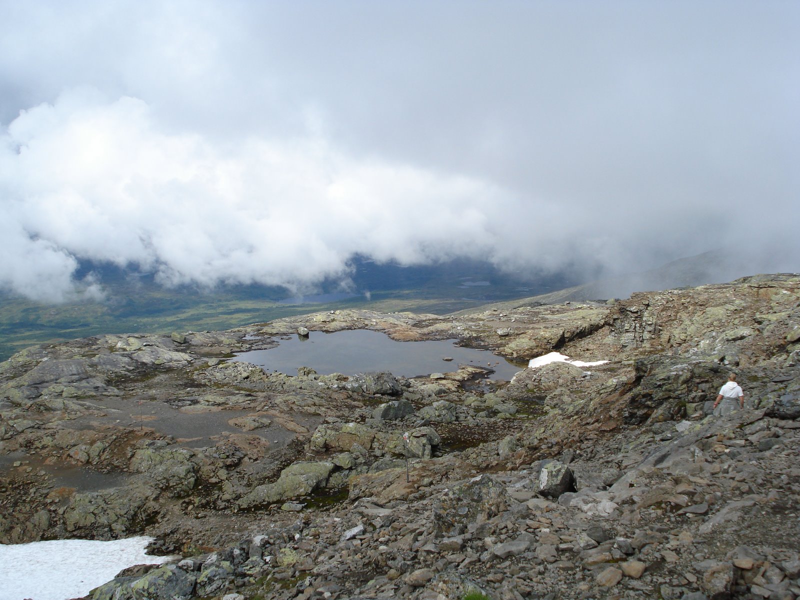 [mixture+picture+March2009+128.jpg]