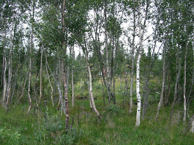 morgonpromenad+%C3%A5re+015 - Morgonpromenad i ett regnigt Åre