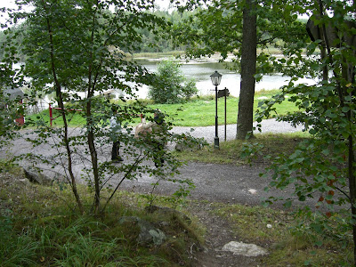 CIMG4484 - Härlig helg på landet