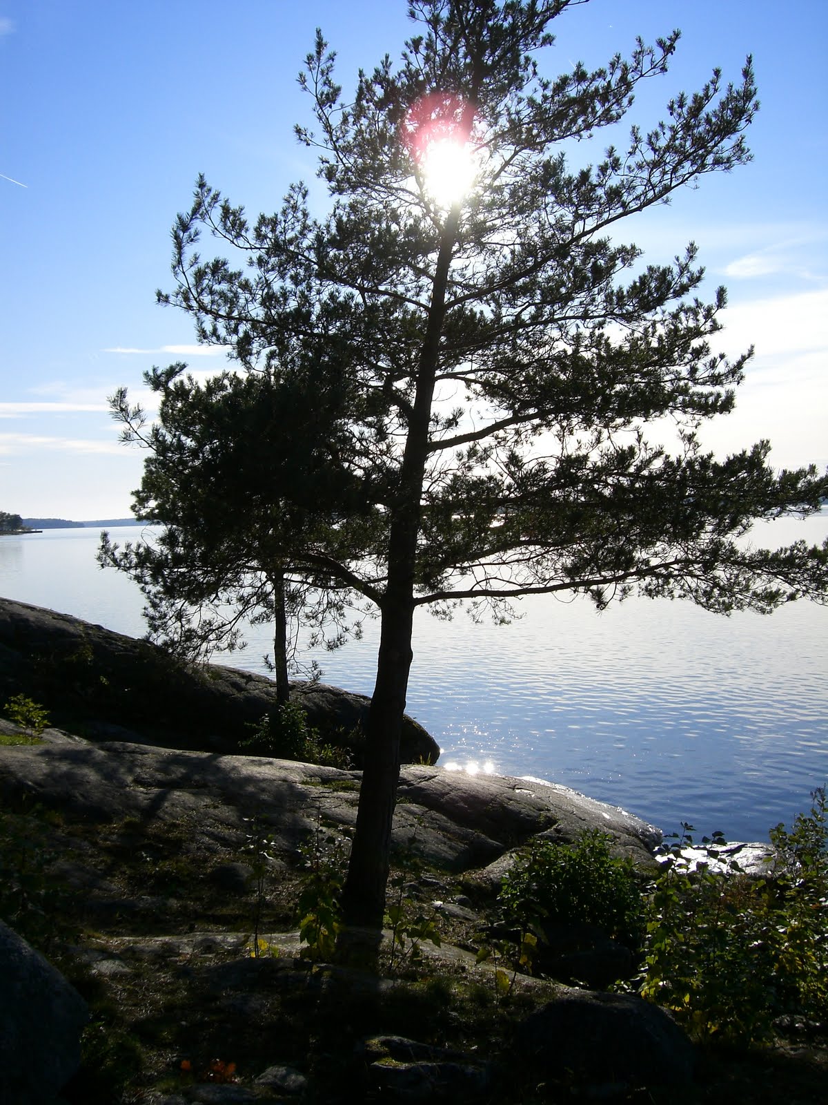 [mixture+picture+March2009+076.jpg]