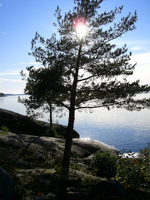 mixture+picture+March2009+076 - Underbar höstdag