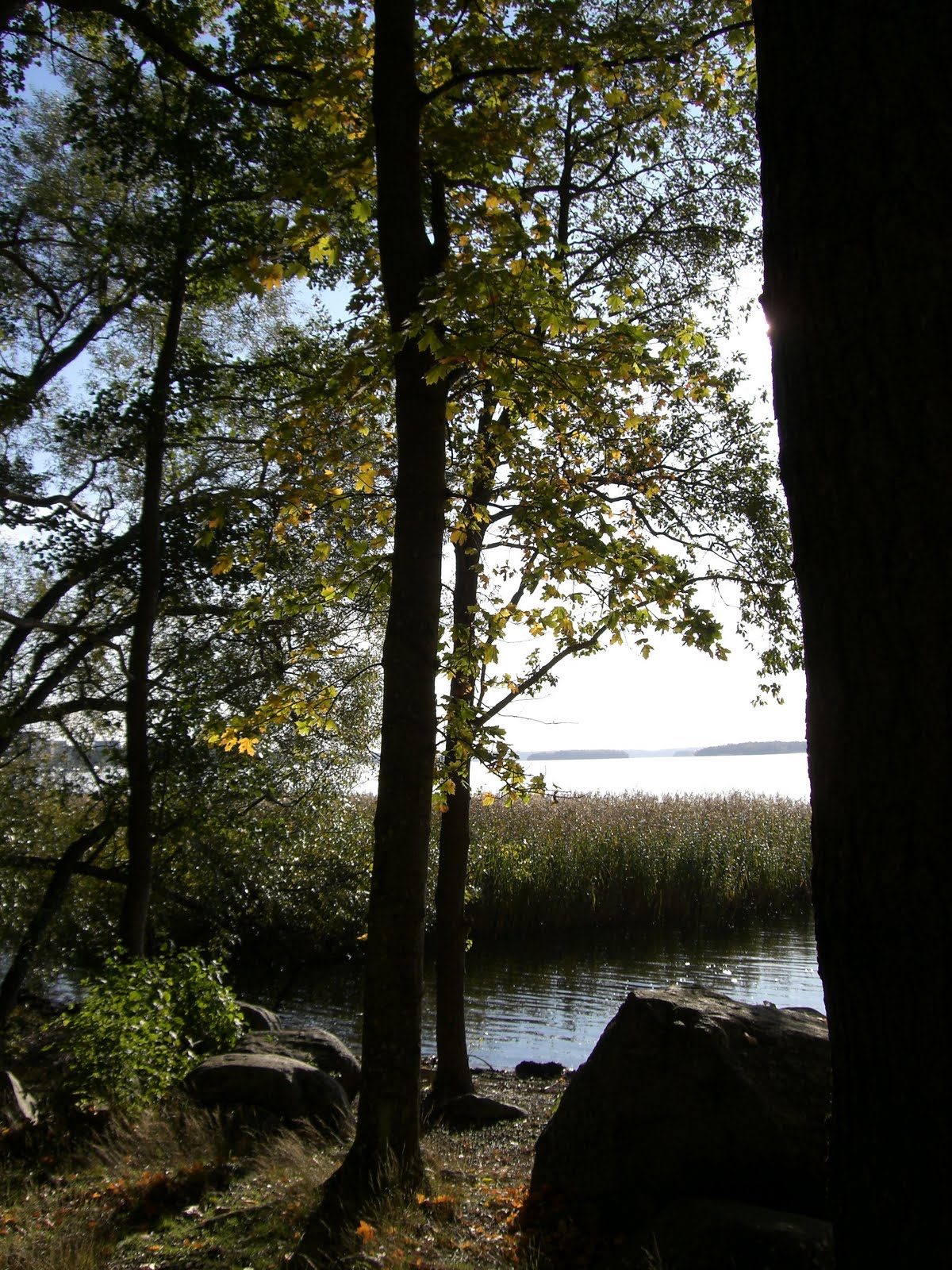 [mixture+picture+March2009+074.jpg]