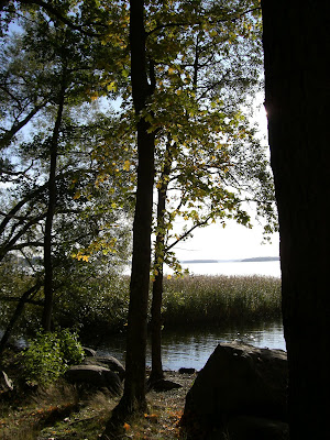 mixture+picture+March2009+074 - Underbar höstdag