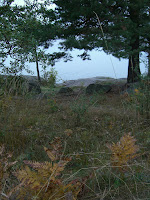 CIMG5016 - Höstpromenad i Kallhäll