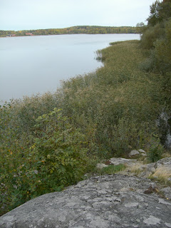 CIMG5020 - Höstpromenad i Kallhäll