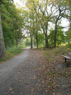 CIMG5002 - Höstpromenad i Kallhäll