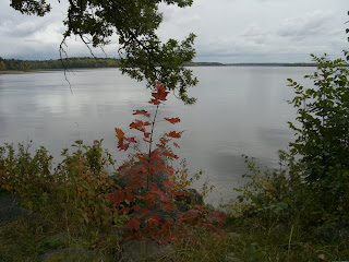 CIMG5102 - Mysig höstpromenad idag