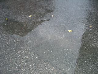 CIMG5156 - Regnig morgon