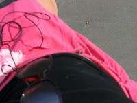 Karin+009 - Som vanligt underbar morgonpromenad