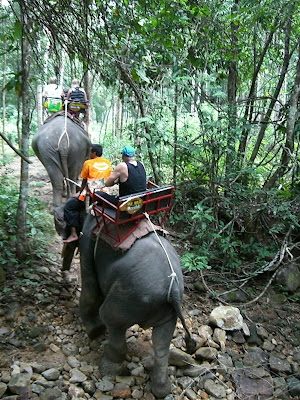 karin+011 - Elefantridning idag