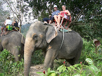 karin+010 - Elefantridning idag